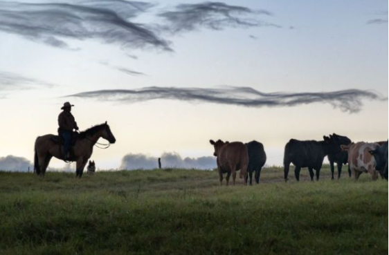 People Generic Rancher